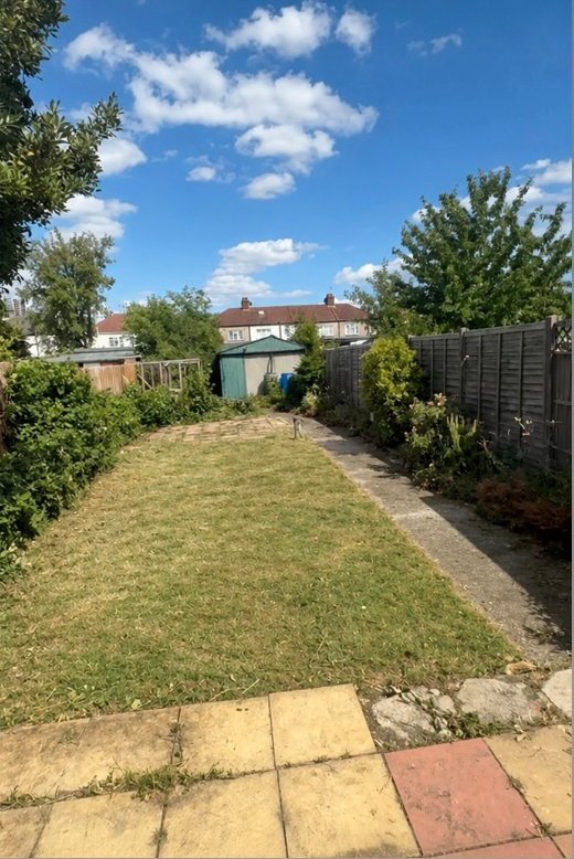 Overgrown Lawn Recovery — after