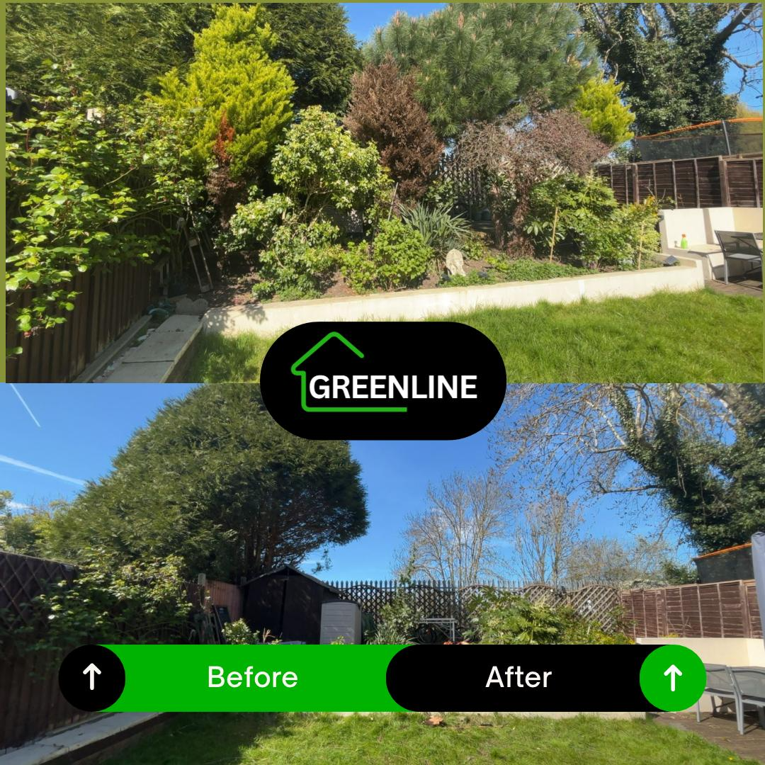 Garden clearance before and after
